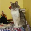 Отзыв от Варвара Костина
